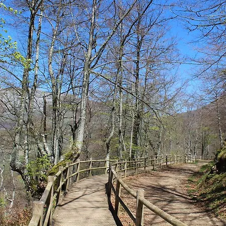 Montegrande Páramo